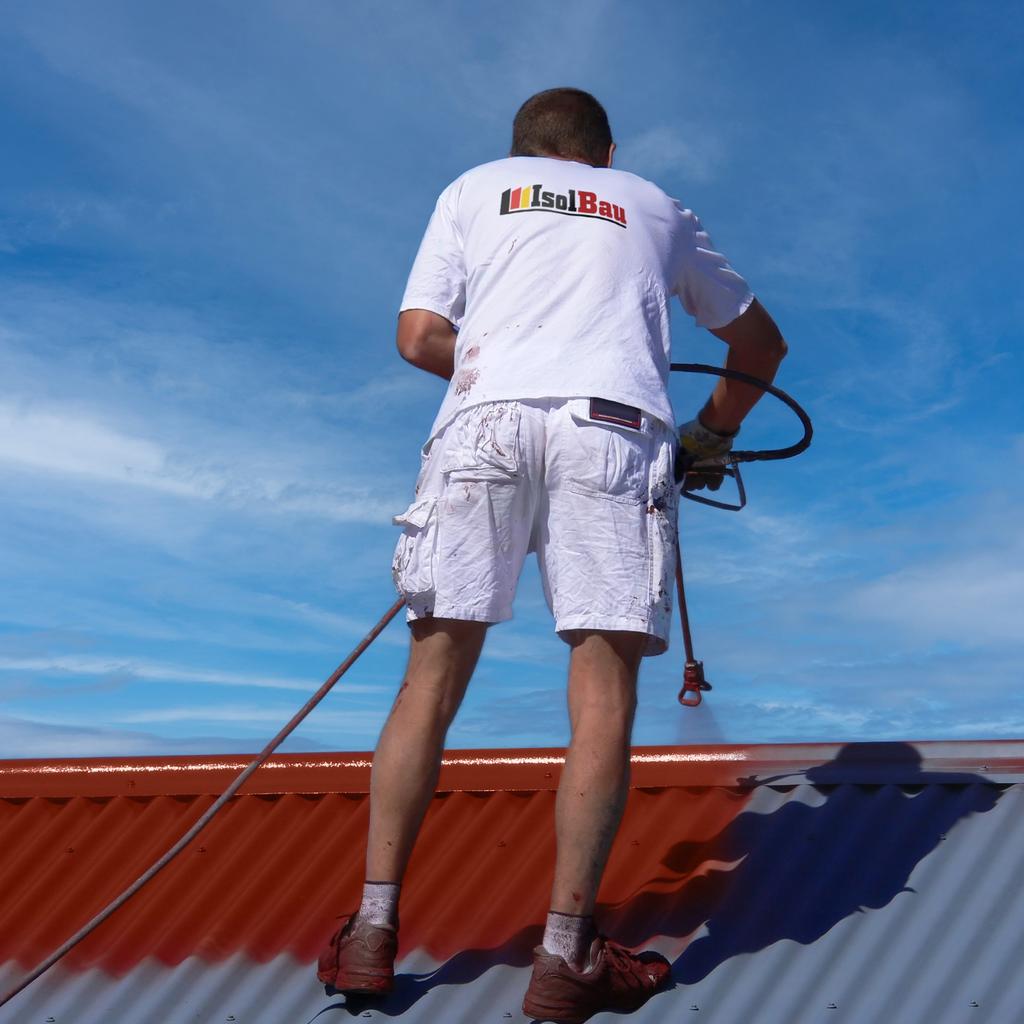 IsolBau Roof Paint Dachfarbe White 25