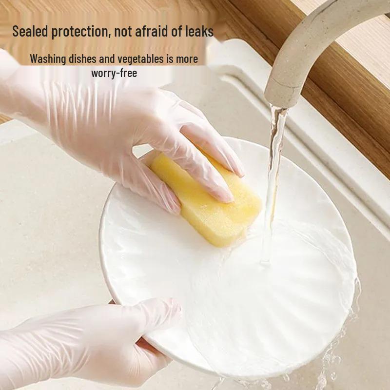 Powder-Free Transparent Disposable PVC Gloves for Inspection, Hair Salon, Waterproof & Oil-Proof Protection
