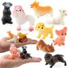 Simulation Animal Puppy Pet Model Set Hollow Early Education Puzzle Ornament Doll Direct Supply
