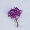 Classic Rustic Dried Flower Bundle Aesthetic Photography Props Minimalist Home Room Desk Vases Decor Accessories