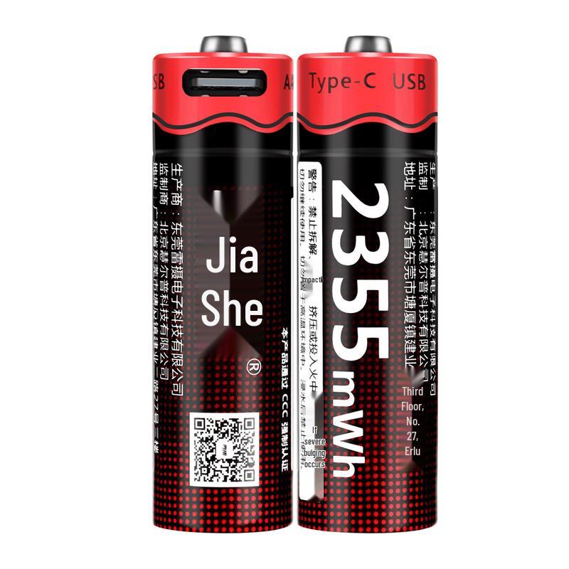 LEISE Type-C Rechargeable Li-ion Batteries CN plug (adapter included)