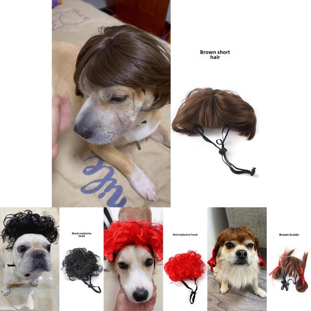 Peruca Vermelha Vibrante Explosiva com Franja Para Animais de Estimação Ideal Para Celebrações de Halloween