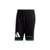 Sports Shorts Men's Black Moderate FP9375