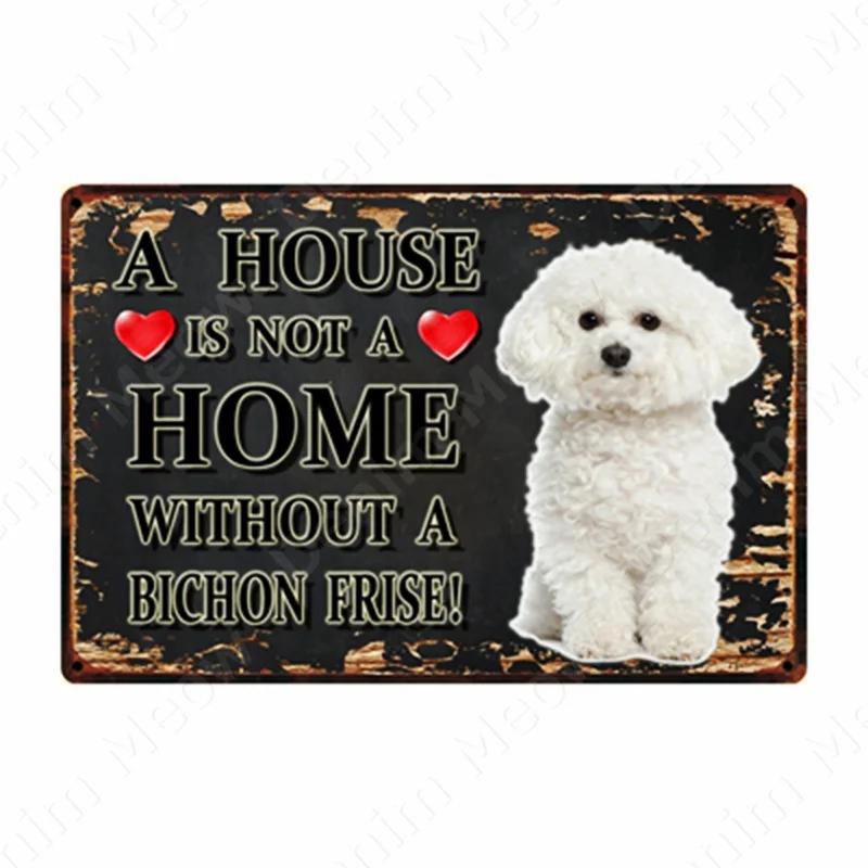 A House Is Not A Home Without A Dog Plaque, Vintage Metal Tin Signs, Bar, Cafe, Home Decor, Springer Spaniel, Wall Art Poster
