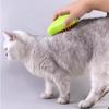 Cat Steamy Brush Electric Spray Brush 3 IN 1 Puppy Pet Comb Cute Mango Shape Hair Remover Combs Self Cleaning Dog Cat Grooming