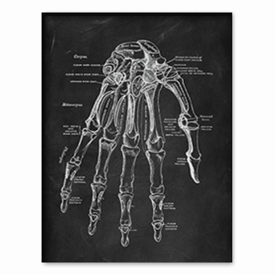 Human Anatomy Artwork Medical Clinic Wall Picture Skeleton Organ Muscle System Vintage Canvas Print Body Education Poster