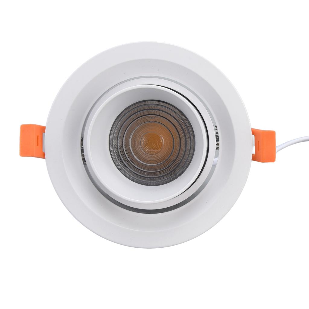 Recessed Lighting Adjustable Flexible Warm Color Temperature Embedded Installation Lights for