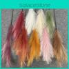 Artificial Phoenix Feather Tail Arrangement For Wedding Photo Props Home Decor