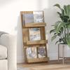Magazine Shelf Artisan Oak 51 x 11 x 102 cm Particleboard