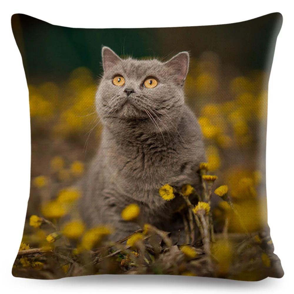 Funny Cute Cat Cushion Cover Decor Lovely Pet Animal Print Pillowcase Polyester Throw Pillow Case for Sofa Home Car 45x45cm