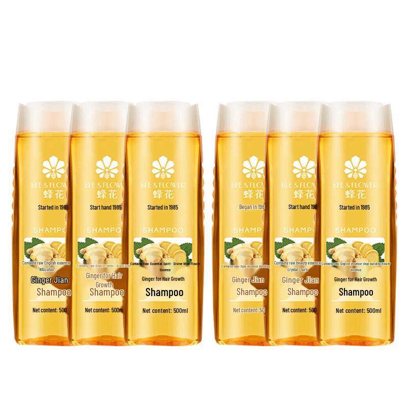 Feng Hua Ginger Anti-Dandruff & Oil Control Shampoo, 6 x 500ml Pack