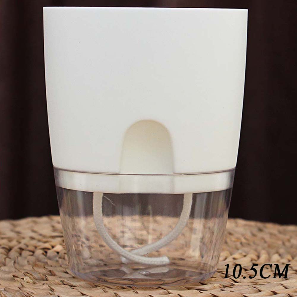 Garden Supplies Green Dill Office Hydroponic Decoration Plant Pot Planters Home Decor Flower Pots