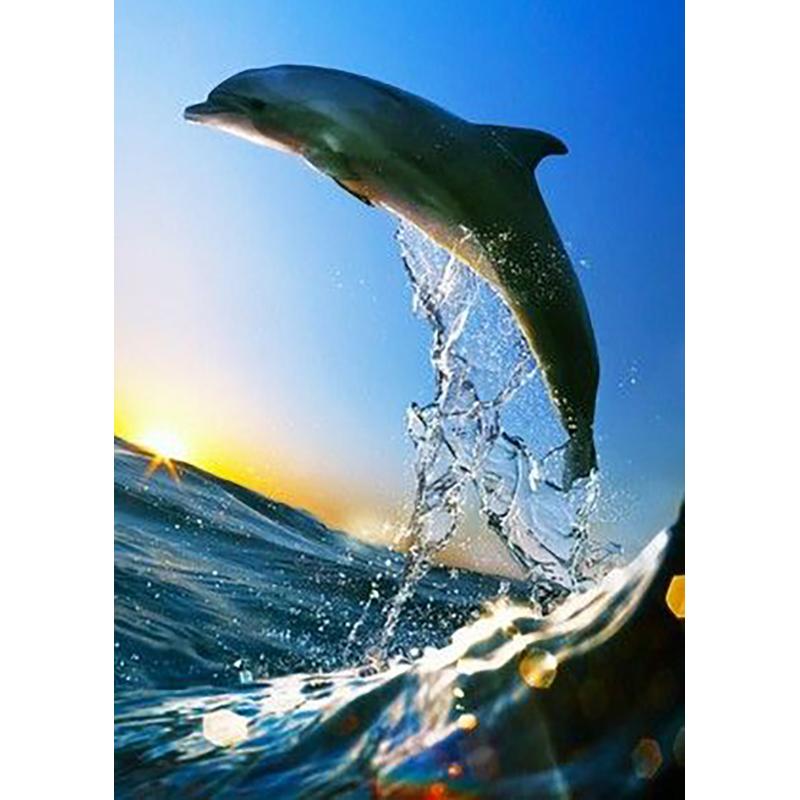 DIY 5D Diamond Painting Dolphin Full Square Drill Animal Diamond Embroidery Pictures of Rhinestones Mosaic Home Decor Art Gift