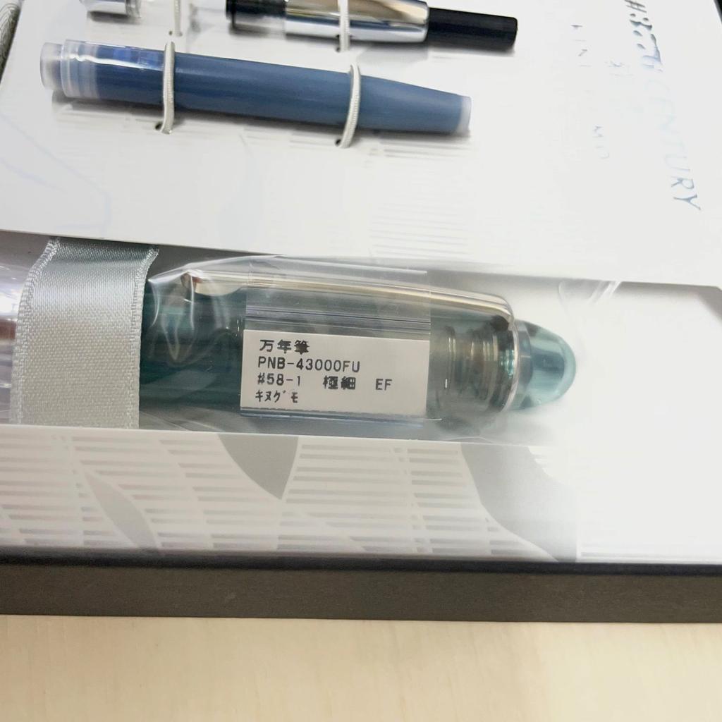 Platinum 3776 Century Kinu-Gumo Fuji Unkei EF 2500 14K Fine Fountain Pen JP