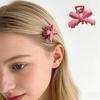 Accesorii pentru păr – Clame de păr