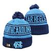 Lion Rugby Knit Hat, Dolphin Outdoor Warm Sun Hat, 49ers Hip Hop Ear Protection Hat