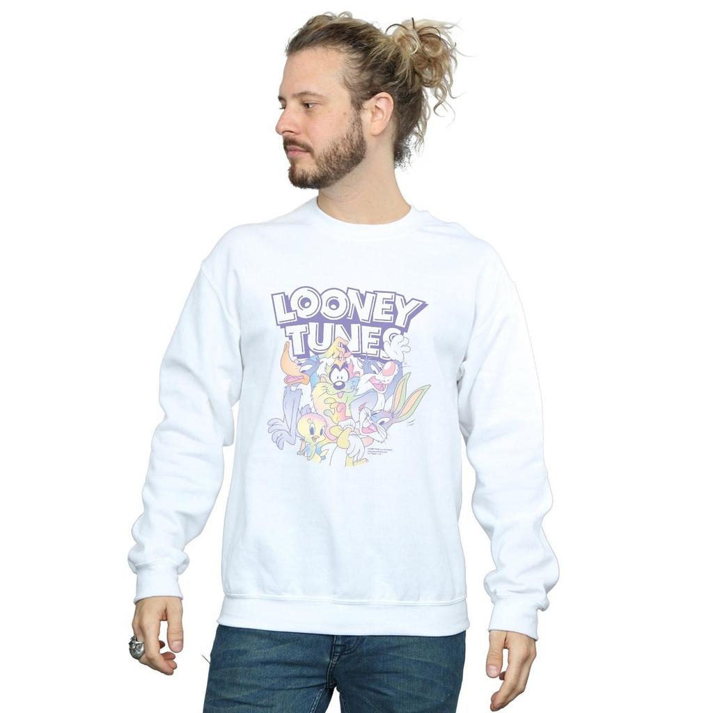 Looney Tunes Mens Rainbow Friends Sweatshirt