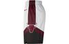 Nike Nba Chicago Bulls City Edition Swingman Shorts DO9652-100