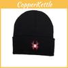 Animal Inspired Spider Embroidered Knit Hat For And Street Fashion Enthusiasts