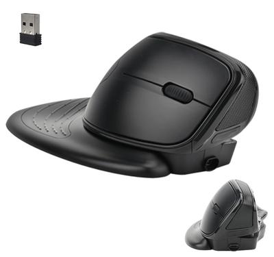 Ergonomic Wireless DPI RGB Color Breathing Detachable Hand 500mAh Quiet Compatible with Chrome Mac and Linux Mouse, Type-C Rechargeable, 5-Level