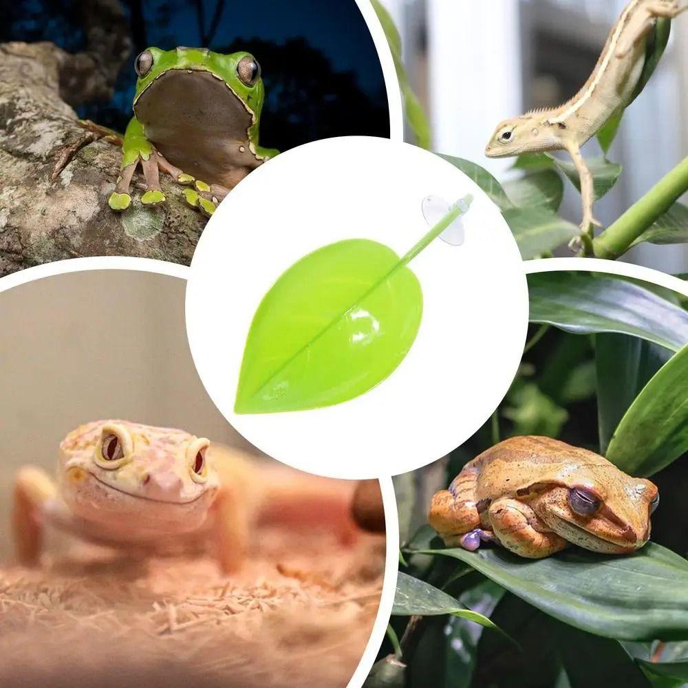 Suction Cup Frog Geckos Platform Habitat Plastic Aquarium Landscape Decoration  Rumble Fish