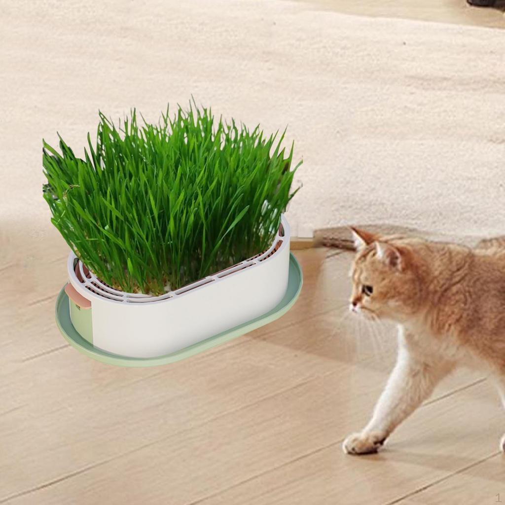 Cat Grass Germination Planter, Wheatgrass Growing Pot, Multi-purpose Accessory, Hydroponic Sprouting