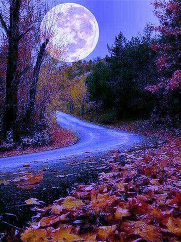 Diamant-Malerei, Mond, voller Bohrer, quadratisch, Diamant-Stickerei, Baum, Perlen, Mosaik, Küstenlandschaft, 5D, DIY-Kunst, Wanddekoration