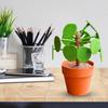 3D Printed Chinese Money Plant Ornament with Piggy Bank Pilea Food Picker Decision Tool Dinner Decider Home Kitchen Dining Room Decoration