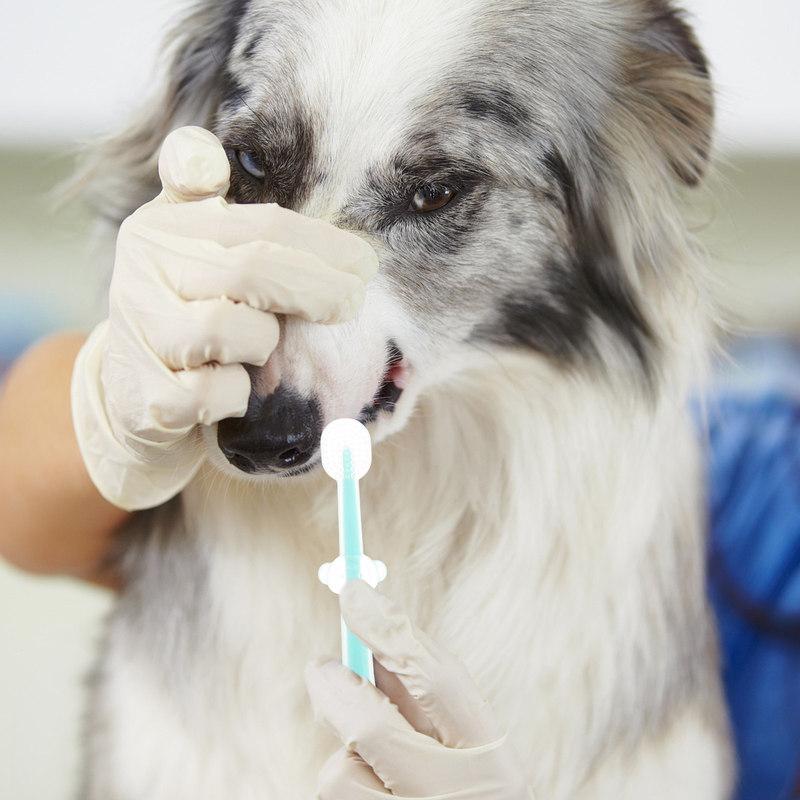 Pet Silicone Toothbrush for Dogs Soft Small Breed Cleaner Brushing Kit Puppy Cat Oral Care Tools Doggy Toothbrush