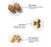 20% Argan Oil 10% Olive Oil for Dry Frizz Control Hair Oil