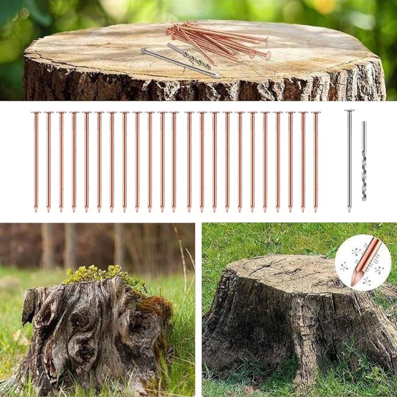 25Pcs Purely Copper Nails to Killing Trees Stump Removal Spikes Hardware Nails Tree Stump Killers Nails Easy to Use