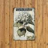 Retro Hydrangea Tin Sign 8x12 Inch Metal Wall Art for Home Cafe Bar