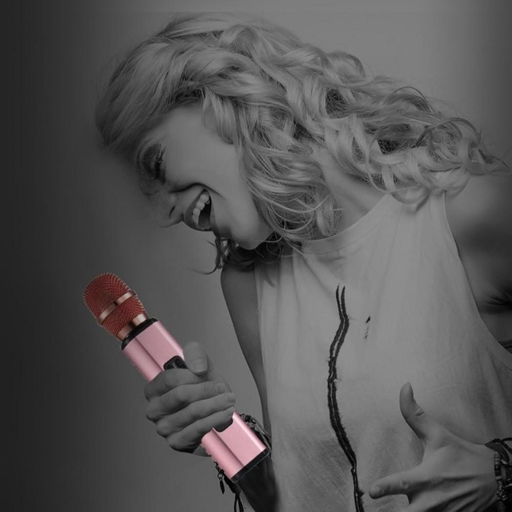 Professional Wireless Microphone Portable Karaoke Speaker Microphone Karaoke Microphone Bar