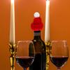 24Pcs Mini Christmas Hats Miniature Hats for Wine Bottle Decor Christmas Tree Ornament DIY Craft Supplies Festive Party