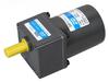 15W AC Reduction Motor/constant Speed motor/31K15GN-C/3IK15GN-C/220V/3GN150K