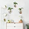 3 Stück Wandhängendes Glas-Terrarium Wandmontierte Runde Kristallvase Grüne Efeu Hydrokultur-Pflanzenbehälter für Haus Büro Dekoration