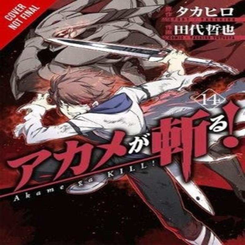 Akame Ga KILL Vol. 14 by Tetsuya Tashiro Paperback Book 9781975300418