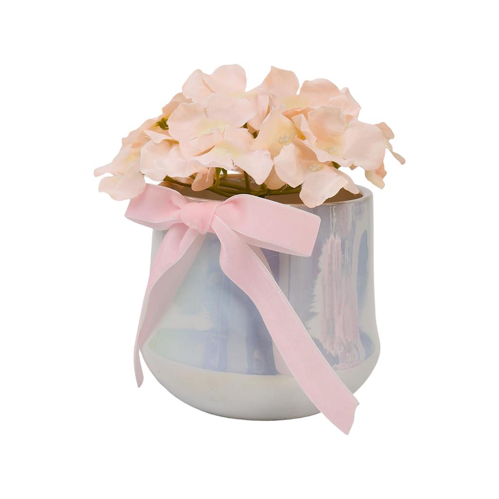 Festive Hydrangea Potted Plant, A Gift For Friends And Holiday Decoration
