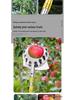 Telescopic Pole for High-Altitude Fruit Picking: Loquat, Mango, Persimmon, Bayberry, Jujube, and Apple Hook