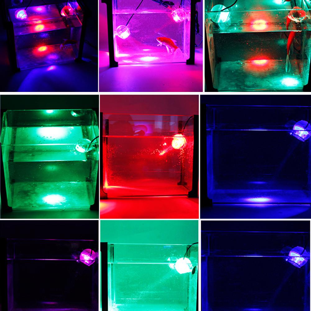 Akvaryum Balik Tank Amfibi Dalgic Kucuk Led Spot Lamba Isik Renkli Uygun Fiyatli Satin Alin Fiyat Ucretsiz Teslimat Fotograflarla Gercek Yorumlar Joom Akvaryum Balik Tank Amfibi Dalgic Kucuk Led Spot Lamba Isik Renkli Uygun Fiyatli Satin Alin Fiyat Ucretsiz Teslimat Fotograflarla Gercek Yorumlar Joom