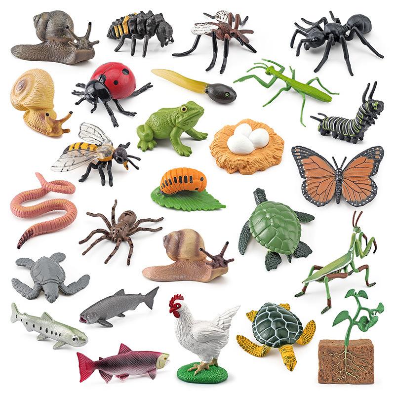 Animal Life Cycle Board Children Plaything Montessori Teaching Aids Plant Animal Growth Cycle Miniature Kit preschool cognitive Playthings