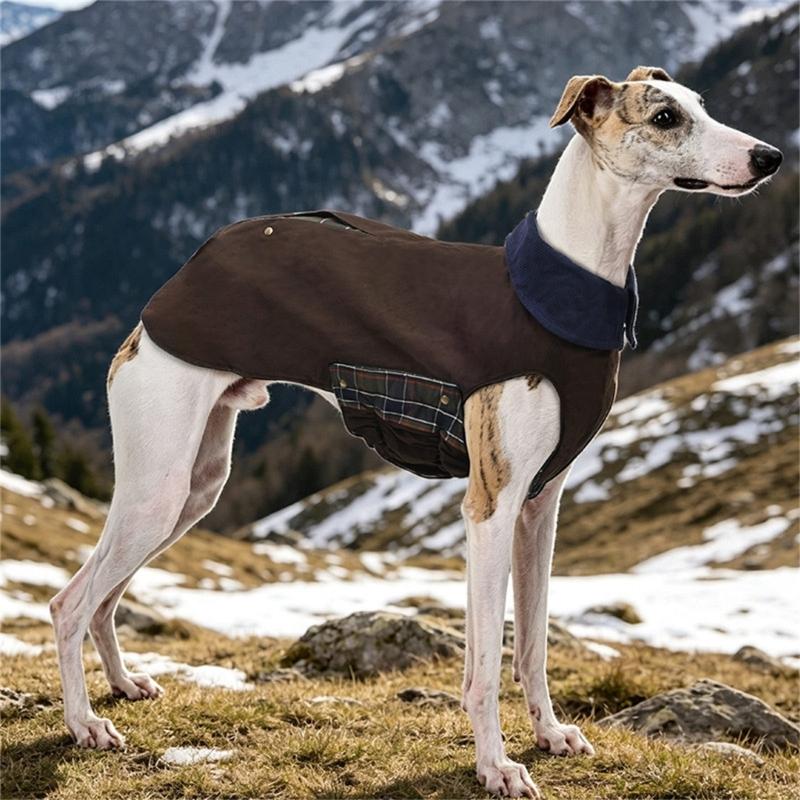 High Collar Dog Coat, Padded Cold Season Outerwear with Soft Lining and Snap Front for Outdoor Use and Day Use