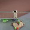 Handmade Cute Dog Resin Ornament Fall-resistant Layout Props For Aquarium Fish Tank Landscaping Decor