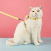Adjustable Cat Harness and Leash Set - Escape-Proof, Braid Comfort Fit with I-Shaped Design for Outdoor Walks for Dog S M L Size
