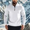Herbst/Winter Neuankömmling Herren Hoodie Lässig mit Reißverschluss Stehkragen Fleecefutter Einfarbig Herrenjacke