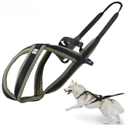 Corda de tração para animais de estimação, corda redonda de nylon, anti-perda, corda de tração para cães de médio e grande porte, à prova de explosão, Okinawa