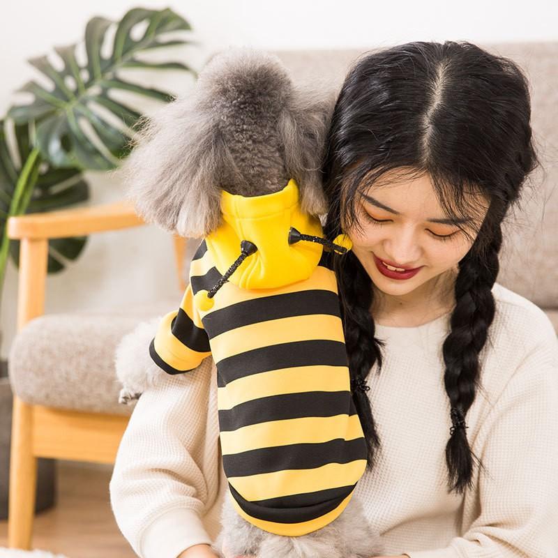 Hooded Bee Costume Sweater Small Dogs Cats Pet Clothing Soft Fleece Outfit