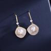 Natural Freshwater Pearl Geometric Earrings for Women Pendientes Micro Pave Cubic Zirconia Earring Designer Fashion Jewellery