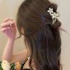 Small Butterfly Flower Hair Claw Clip With Cats Eye Stone Women Front Bangs Styling Accessory