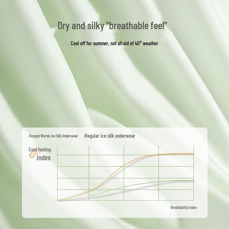 YOUNGYELL Women's Ice Silk Seamless Mid-Waist Underwear 4-Pack